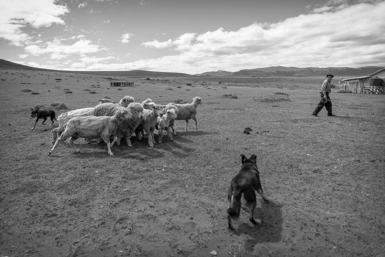 Estancia Dos Elianas Torres del Paine National Park Εξωτερικό φωτογραφία