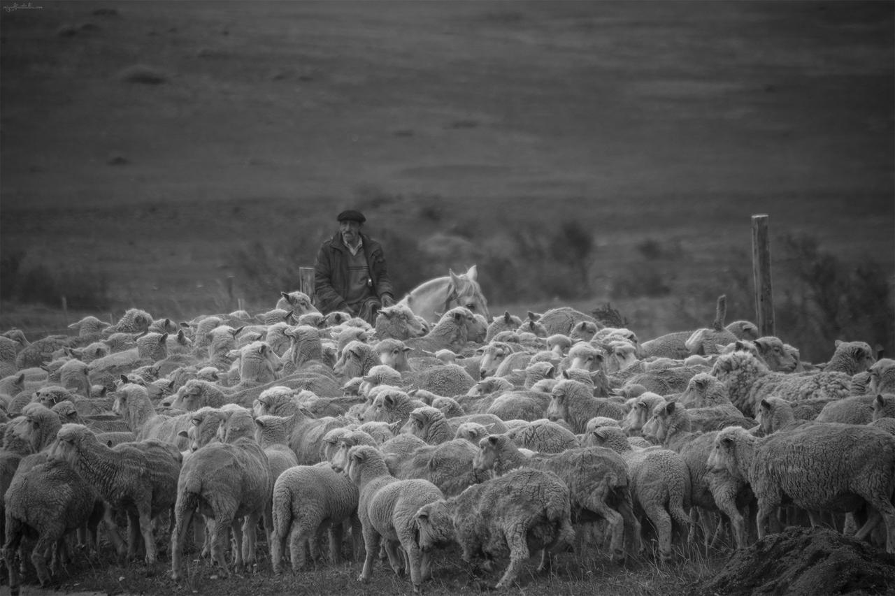 Estancia Dos Elianas Torres del Paine National Park Εξωτερικό φωτογραφία